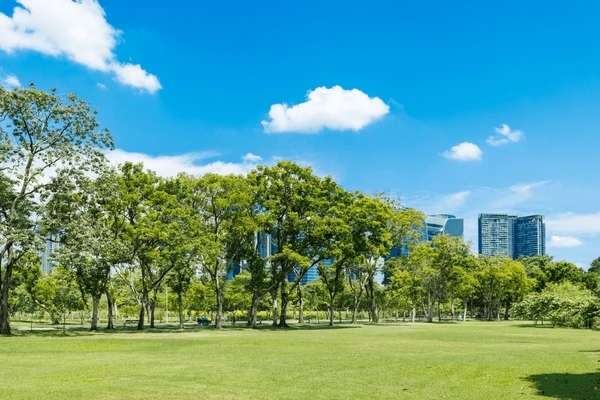public park modern green city 600nw 2666170567